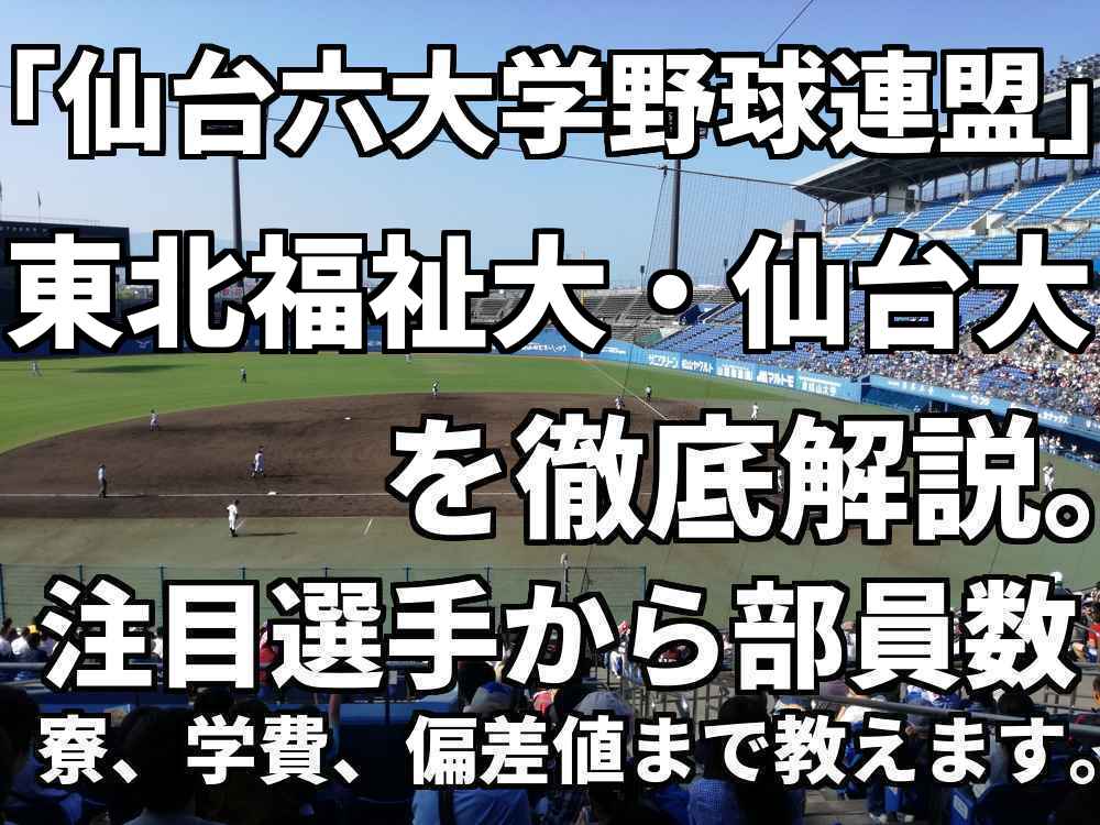 仙台六大学野球連盟 強豪東北福祉大学 仙台大学を徹底解説 全国を狙うならこの２大学 野球と僕