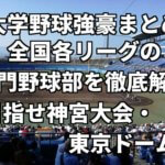 「大学野球強豪まとめ」全国各リーグの名門野球部を徹底解説。目指せ神宮大会・東京ドーム。